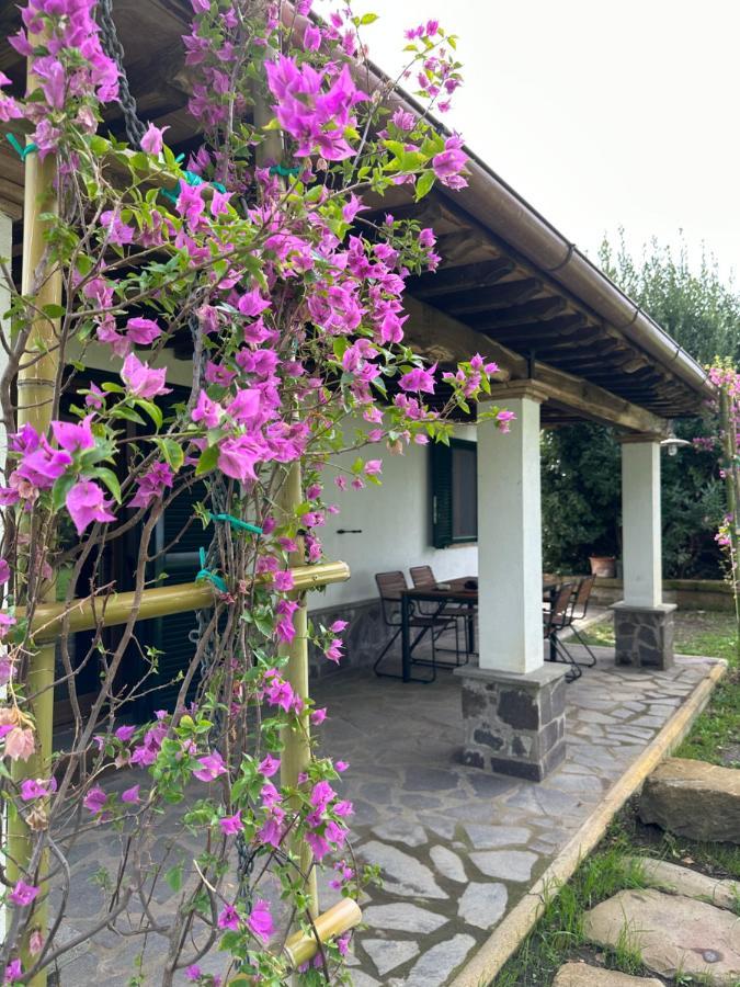 Agriturismo Iride Bolsena Exterior foto
